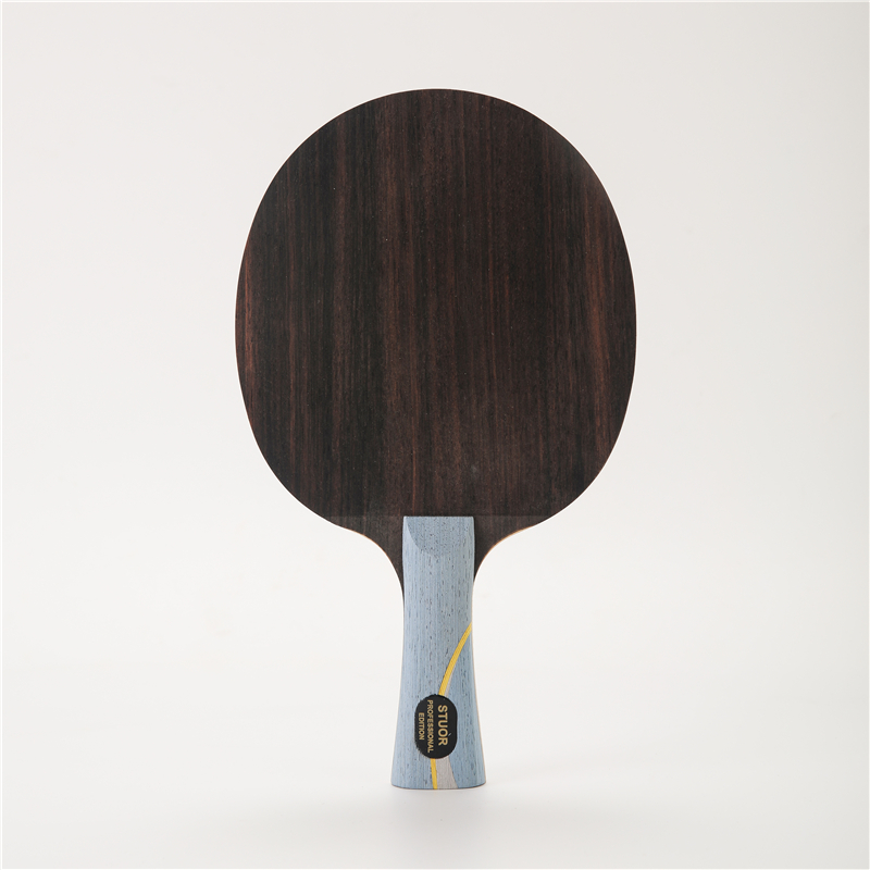 مضرب تنس الطاولة مع مضارب بونغ - مراجعة Table Tennis Viscaria وسعره