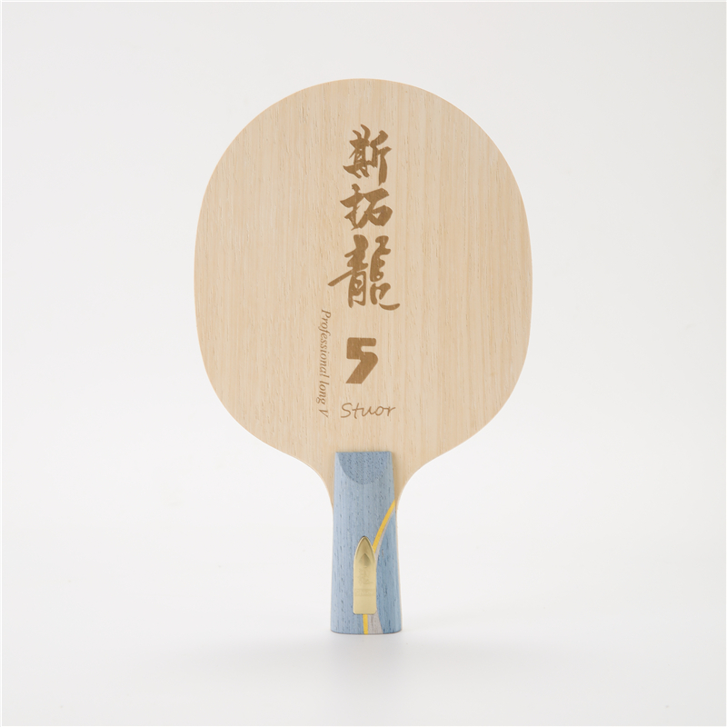 مضرب تنس طاولة التنين Stuor Dr - مراجعة Table Tennis Viscaria وسعره